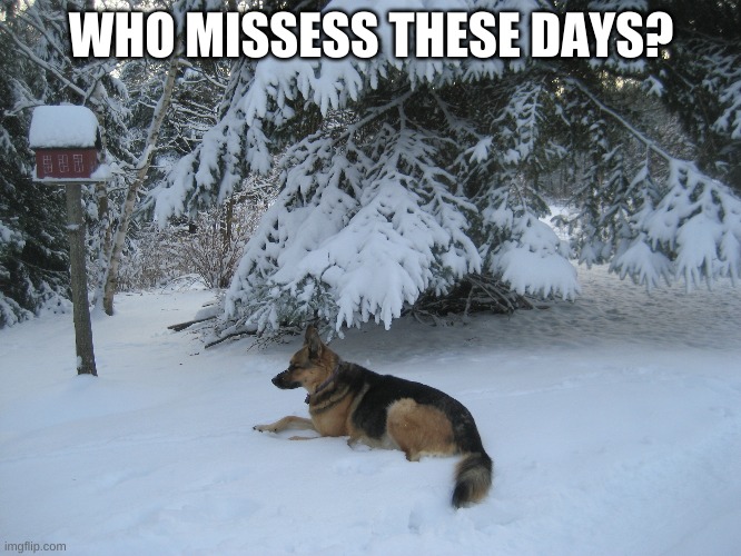 who misses these days? | WHO MISSESS THESE DAYS? | image tagged in snow,fun | made w/ Imgflip meme maker