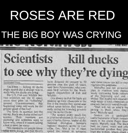 I wonder why..... | ROSES ARE RED; THE BIG BOY WAS CRYING | image tagged in news,roses are red,why did i make this | made w/ Imgflip meme maker