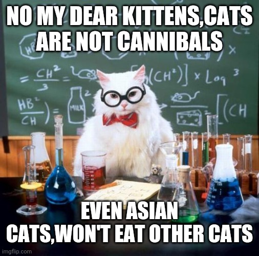 Chemistry Cat | NO MY DEAR KITTENS,CATS ARE NOT CANNIBALS; EVEN ASIAN CATS,WON'T EAT OTHER CATS | image tagged in memes,chemistry cat | made w/ Imgflip meme maker