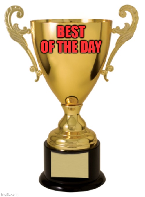 Trophy | BEST OF THE DAY | image tagged in trophy | made w/ Imgflip meme maker