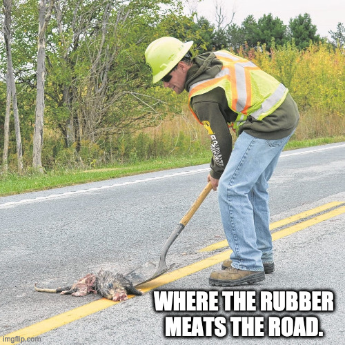 Road Meat | WHERE THE RUBBER MEATS THE ROAD. | image tagged in roadkill | made w/ Imgflip meme maker