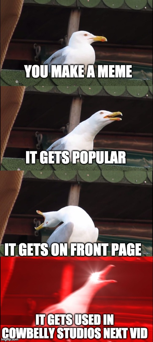 Inhaling Seagull | YOU MAKE A MEME; IT GETS POPULAR; IT GETS ON FRONT PAGE; IT GETS USED IN COWBELLY STUDIOS NEXT VID | image tagged in memes,inhaling seagull | made w/ Imgflip meme maker