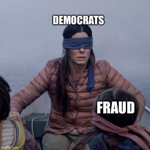 Bird Box Meme | DEMOCRATS FRAUD | image tagged in memes,bird box | made w/ Imgflip meme maker