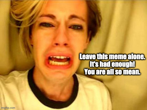 leave this meme alone | Leave this meme alone.
It's had enough!
You are all so mean. | image tagged in leave britney alone | made w/ Imgflip meme maker