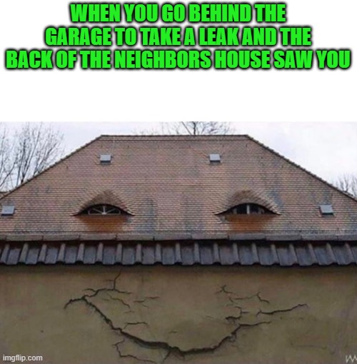 WHEN YOU GO BEHIND THE GARAGE TO TAKE A LEAK AND THE BACK OF THE NEIGHBORS HOUSE SAW YOU | made w/ Imgflip meme maker