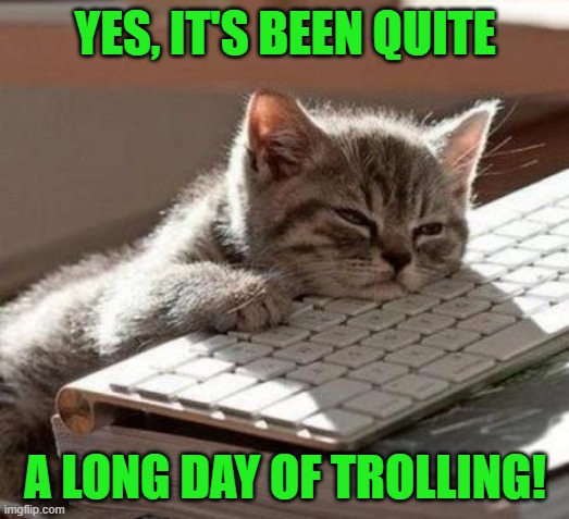 tired cat | YES, IT'S BEEN QUITE A LONG DAY OF TROLLING! | image tagged in tired cat | made w/ Imgflip meme maker