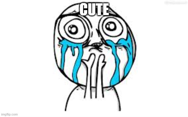 Crying Because Of Cute Meme | CUTE | image tagged in memes,crying because of cute | made w/ Imgflip meme maker