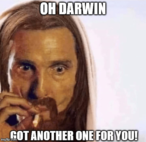 Matthew McConaughey Jesus Smoking | OH DARWIN; GOT ANOTHER ONE FOR YOU! | image tagged in matthew mcconaughey jesus smoking | made w/ Imgflip meme maker