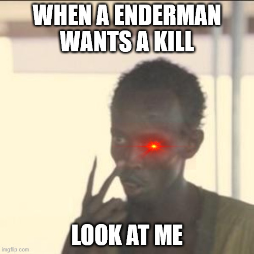 Look At Me Meme | WHEN A ENDERMAN WANTS A KILL; LOOK AT ME | image tagged in memes,look at me | made w/ Imgflip meme maker