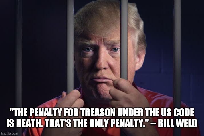 Trump Prison | "THE PENALTY FOR TREASON UNDER THE US CODE IS DEATH. THAT'S THE ONLY PENALTY." -- BILL WELD | image tagged in trump prison | made w/ Imgflip meme maker