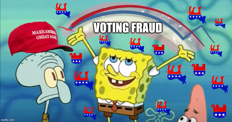 Freedom | VOTING FRAUD | image tagged in memes,voter fraud,politics,election 2020,freedom | made w/ Imgflip meme maker