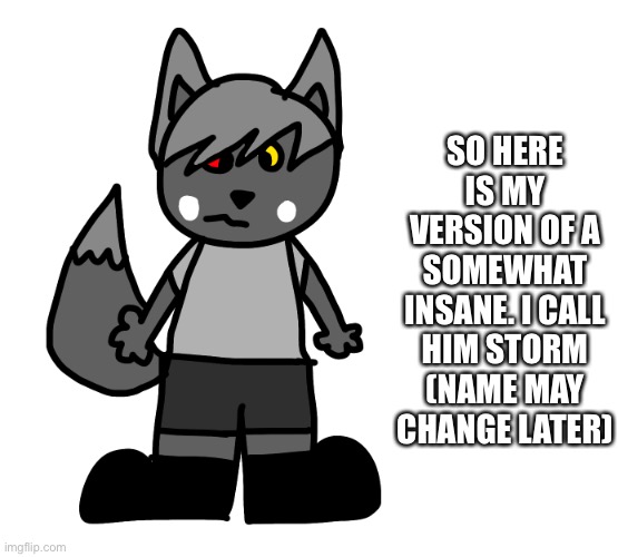 Cat furry | SO HERE IS MY VERSION OF A SOMEWHAT INSANE. I CALL HIM STORM (NAME MAY CHANGE LATER) | made w/ Imgflip meme maker