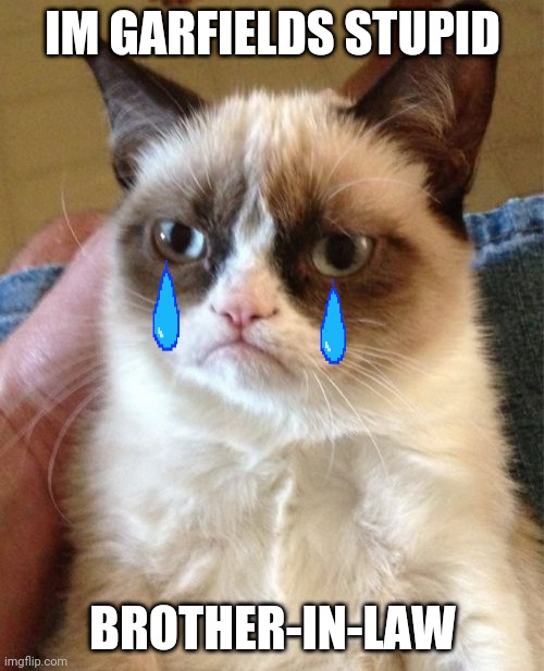 Grumpy Cat Meme | IM GARFIELDS STUPID; BROTHER-IN-LAW | image tagged in memes,grumpy cat,garfield,stupid | made w/ Imgflip meme maker