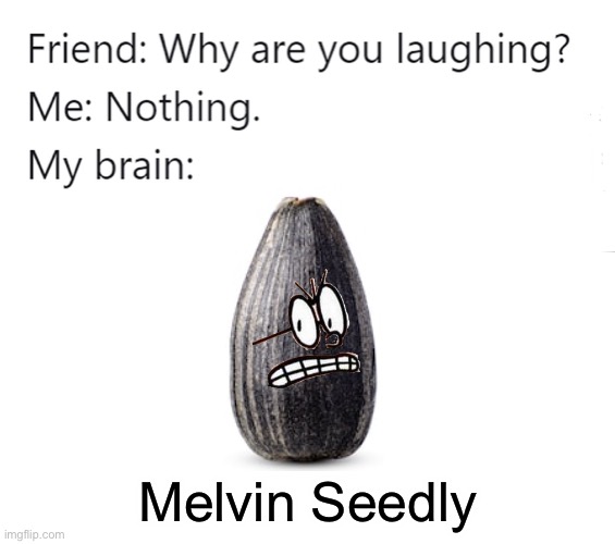 Melvin Seedly | Melvin Seedly | image tagged in why are you laughing,memes,funny | made w/ Imgflip meme maker