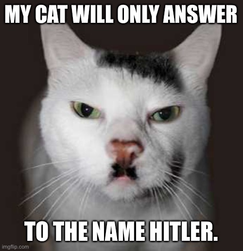 Nazi Cat | MY CAT WILL ONLY ANSWER; TO THE NAME HITLER. | image tagged in nazi cat | made w/ Imgflip meme maker