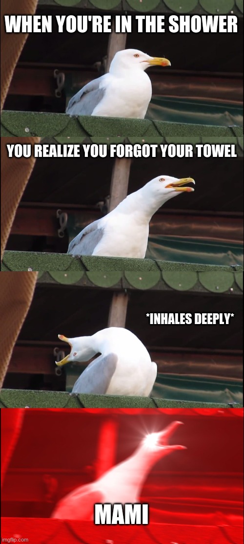 memes |  WHEN YOU'RE IN THE SHOWER; YOU REALIZE YOU FORGOT YOUR TOWEL; *INHALES DEEPLY*; MAMI | image tagged in memes,inhaling seagull | made w/ Imgflip meme maker