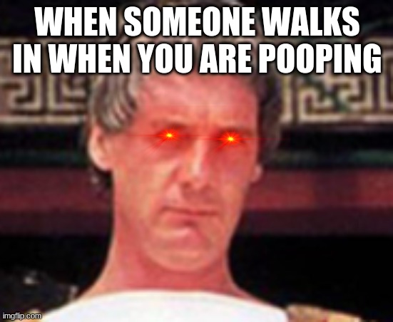 my meme | WHEN SOMEONE WALKS IN WHEN YOU ARE POOPING | image tagged in memes,life of brian | made w/ Imgflip meme maker