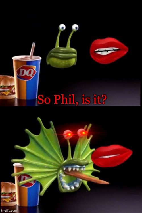 So Phil, is it? | image tagged in so phil is it | made w/ Imgflip meme maker