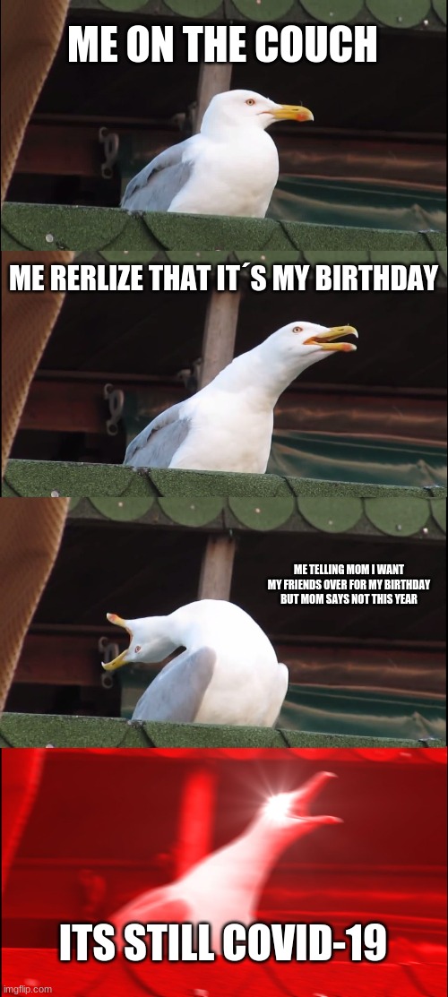 ME ON THE COUCH ME RERLIZE THAT IT´S MY BIRTHDAY ME TELLING MOM I WANT MY FRIENDS OVER FOR MY BIRTHDAY BUT MOM SAYS NOT THIS YEAR ITS STILL  | image tagged in memes,inhaling seagull | made w/ Imgflip meme maker