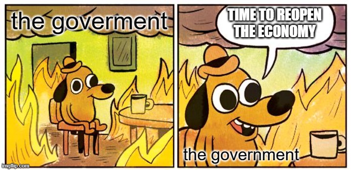 This Is Fine | TIME TO REOPEN THE ECONOMY; the goverment; the government | image tagged in memes,this is fine | made w/ Imgflip meme maker