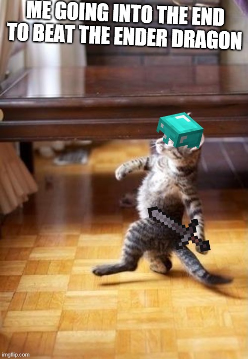 Minecraft yeeeeet | ME GOING INTO THE END TO BEAT THE ENDER DRAGON | image tagged in memes,cool cat stroll,minecraft | made w/ Imgflip meme maker