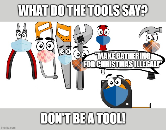 Tools talks | WHAT DO THE TOOLS SAY? "MAKE GATHERING FOR CHRISTMAS ILLEGAL!"; DON'T BE A TOOL! | image tagged in christmas,covid-19,tools,masks,gatherings | made w/ Imgflip meme maker