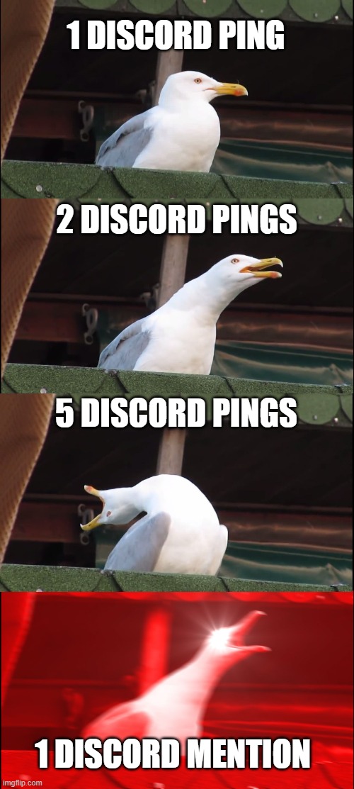 Discord sounds are rlly annoying | 1 DISCORD PING; 2 DISCORD PINGS; 5 DISCORD PINGS; 1 DISCORD MENTION | image tagged in memes,inhaling seagull | made w/ Imgflip meme maker