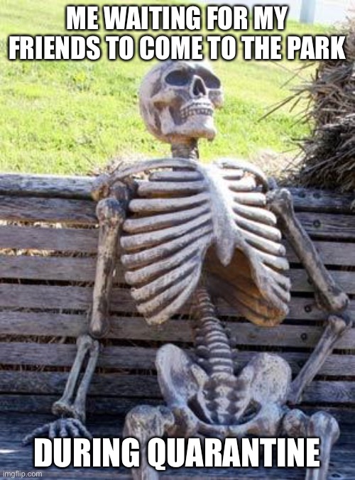 Quarantine be like | ME WAITING FOR MY FRIENDS TO COME TO THE PARK; DURING QUARANTINE | image tagged in memes,waiting skeleton | made w/ Imgflip meme maker
