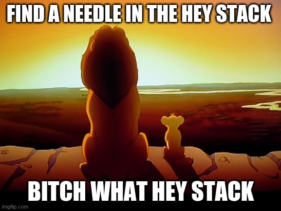 Lion King | FIND A NEEDLE IN THE HEY STACK; BITCH WHAT HEY STACK | image tagged in memes,lion king | made w/ Imgflip meme maker