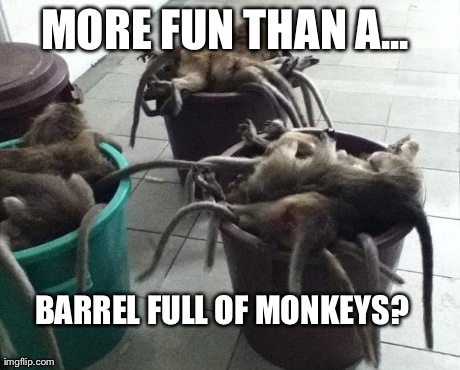 MORE FUN THAN A... BARREL FULL OF MONKEYS? | made w/ Imgflip meme maker