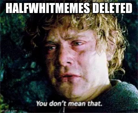 WHYYYYYYYYY | HALFWHITMEMES DELETED | image tagged in samwise you don't mean that | made w/ Imgflip meme maker