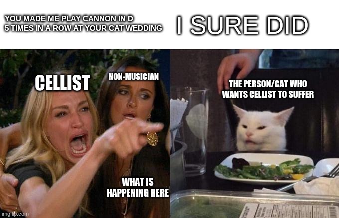 How the Bride *the cat* be at weddings though. | YOU MADE ME PLAY CANNON IN D 5 TIMES IN A ROW AT YOUR CAT WEDDING; I SURE DID; NON-MUSICIAN; CELLIST; THE PERSON/CAT WHO WANTS CELLIST TO SUFFER; WHAT IS HAPPENING HERE | image tagged in memes,woman yelling at cat,lingling40hrs | made w/ Imgflip meme maker