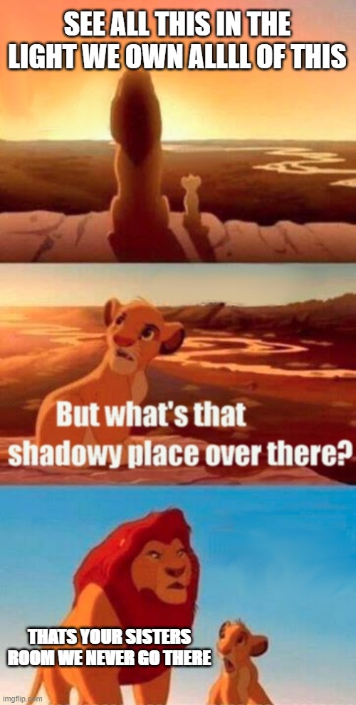 Sisters room | SEE ALL THIS IN THE LIGHT WE OWN ALLLL OF THIS; THATS YOUR SISTERS ROOM WE NEVER GO THERE | image tagged in memes,simba shadowy place | made w/ Imgflip meme maker