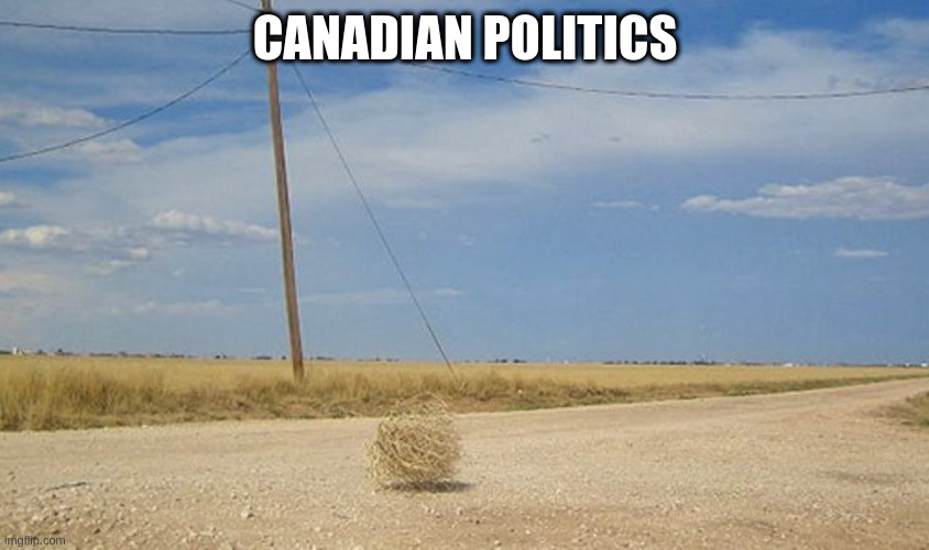 A kind and sensible place ha ha | CANADIAN POLITICS | image tagged in tumbleweed,canadian_politics | made w/ Imgflip meme maker