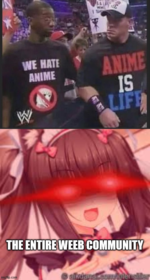 Anti- weebs, heed with caution |  THE ENTIRE WEEB COMMUNITY | image tagged in anime,fun | made w/ Imgflip meme maker