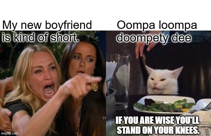 Woman Yelling At Cat Meme | My new boyfriend
is kind of short. Oompa loompa 
doompety dee; IF YOU ARE WISE YOU'LL 
STAND ON YOUR KNEES. | image tagged in memes,woman yelling at cat | made w/ Imgflip meme maker