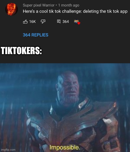 This guy is massive giga brain | TIKTOKERS: | image tagged in thanos impossible | made w/ Imgflip meme maker
