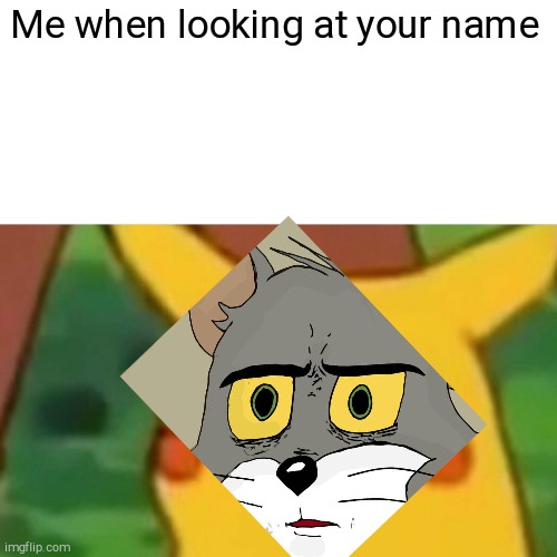 Surprised Pikachu Meme | Me when looking at your name | image tagged in memes,surprised pikachu | made w/ Imgflip meme maker