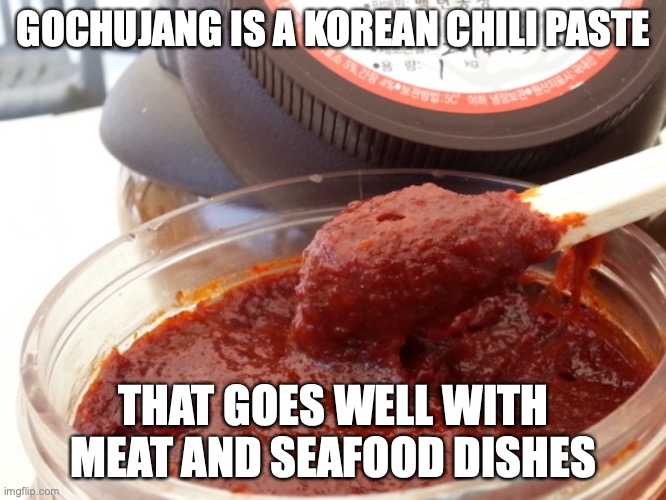 Gochujang | GOCHUJANG IS A KOREAN CHILI PASTE; THAT GOES WELL WITH MEAT AND SEAFOOD DISHES | image tagged in sauce,memes | made w/ Imgflip meme maker