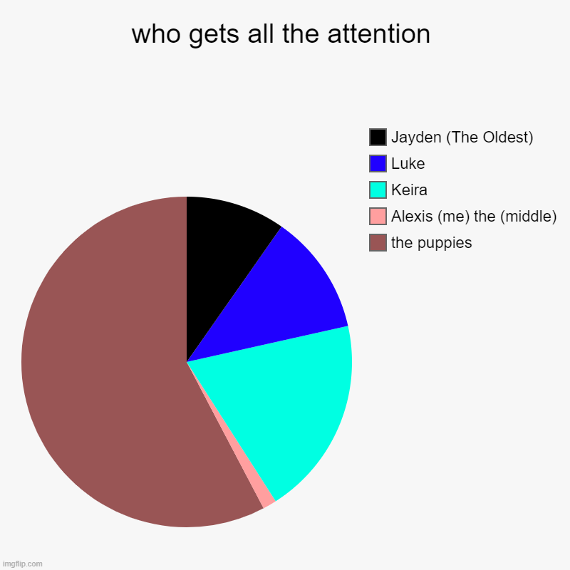 who gets all the attention | the puppies, Alexis (me) the (middle), Keira, Luke, Jayden (The Oldest) | image tagged in charts,pie charts | made w/ Imgflip chart maker