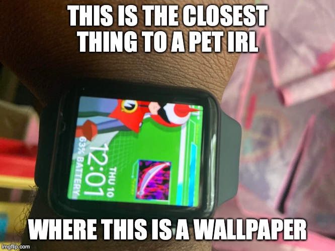Battle Network Wallpaper on iWatch | THIS IS THE CLOSEST THING TO A PET IRL; WHERE THIS IS A WALLPAPER | image tagged in memes,megaman battle network,megaman,iwatch | made w/ Imgflip meme maker