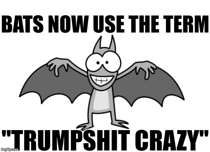 Bat is Trumpshit Crazy | BATS NOW USE THE TERM; "TRUMPSHIT CRAZY" | image tagged in bat,crazy,trump,insane,loser,election 2020 | made w/ Imgflip meme maker