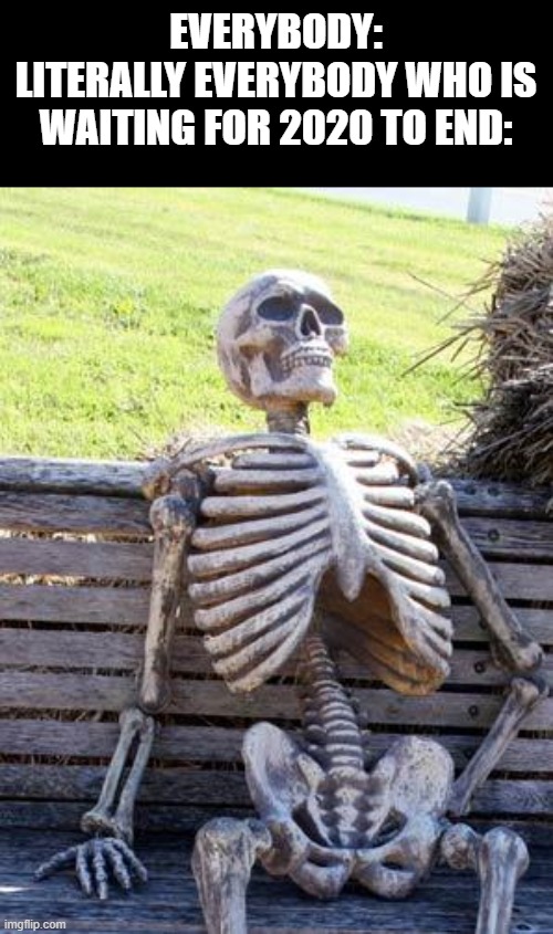Waiting Skeleton Meme | EVERYBODY:
LITERALLY EVERYBODY WHO IS WAITING FOR 2020 TO END: | image tagged in memes,waiting skeleton | made w/ Imgflip meme maker
