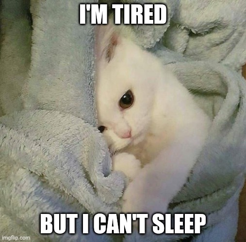 Popcorn (LaceyRobbins1's cat) | I'M TIRED; BUT I CAN'T SLEEP | image tagged in sad blanket kitty | made w/ Imgflip meme maker