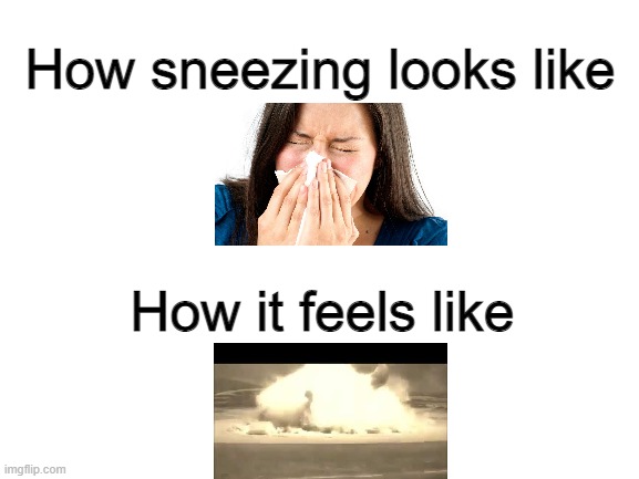 Blank White Template | How sneezing looks like; How it feels like | image tagged in blank white template | made w/ Imgflip meme maker