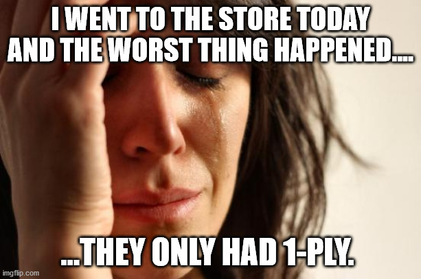 FML | I WENT TO THE STORE TODAY AND THE WORST THING HAPPENED.... ...THEY ONLY HAD 1-PLY. | image tagged in first world problems,fml,no more toilet paper,dollar store | made w/ Imgflip meme maker