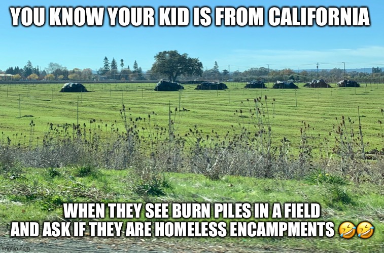 CA living | YOU KNOW YOUR KID IS FROM CALIFORNIA; WHEN THEY SEE BURN PILES IN A FIELD AND ASK IF THEY ARE HOMELESS ENCAMPMENTS 🤣🤣 | image tagged in funny memes | made w/ Imgflip meme maker