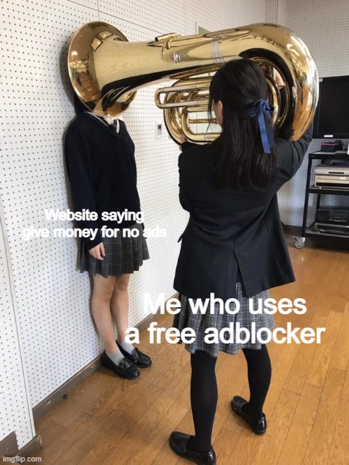 Girl Putting Tuba On Another Girl | Website saying give money for no ads; Me who uses a free adblocker | image tagged in girl putting tuba on another girl | made w/ Imgflip meme maker