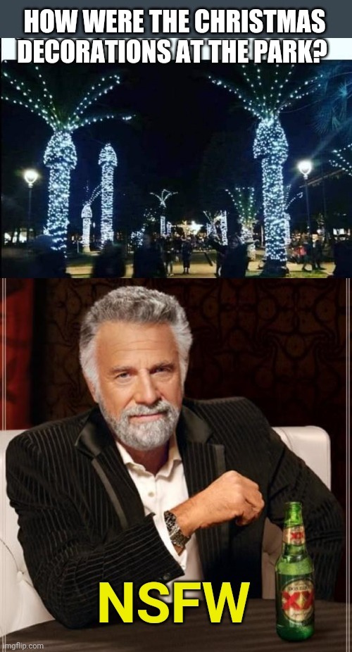 NSFW Christmas Trees | image tagged in nsfw,christmas,christmas tree,the most interesting man in the world | made w/ Imgflip meme maker