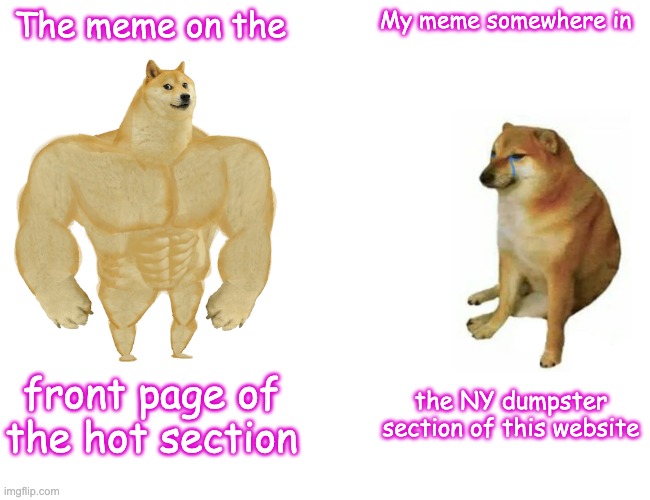 Memes | The meme on the; My meme somewhere in; front page of the hot section; the NY dumpster section of this website | image tagged in memes,buff doge vs cheems | made w/ Imgflip meme maker